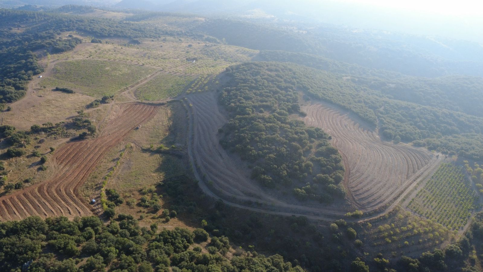 Vista aérea de los viñedos