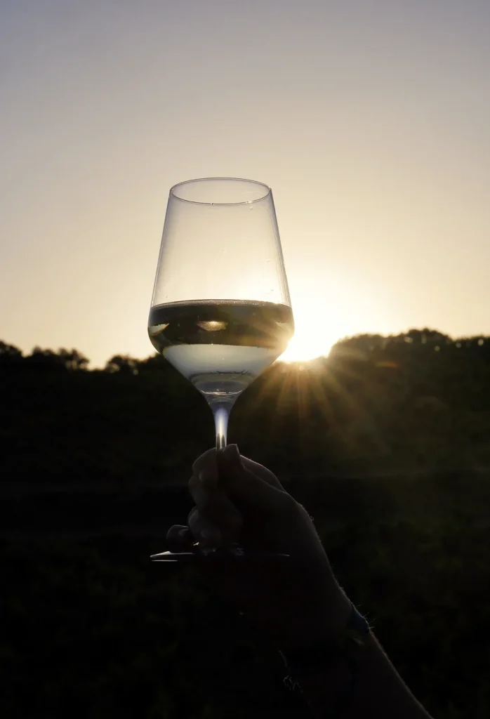 Copa de vino blanco levantada frente a la puesta de sol